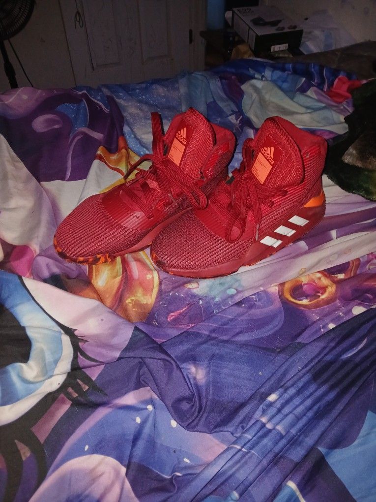 Adidas Shoes