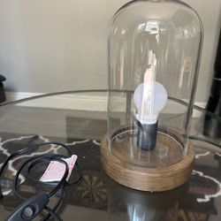 Glass Bell Jar Lamp