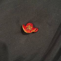Red Hat Society pin