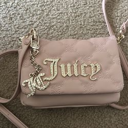 Brand new juicy purse