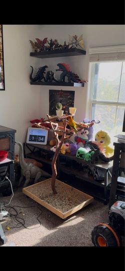 Bird Perch
