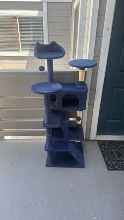 Cat lounge