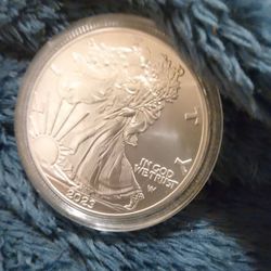 Coin Mint in Case included