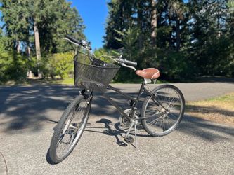 Vintage Schwinn Mesa Runner Bike