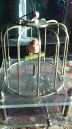 Working Vintage sankyo bird music box