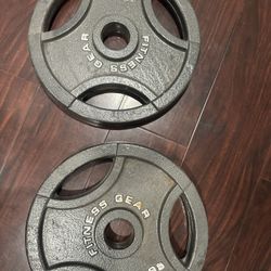 35lb Plates 