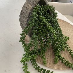 Plant Hanging/ Stand Decor - Hand Crafted - 10 Lbs 