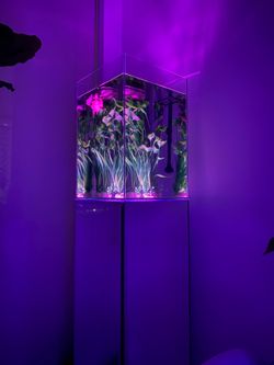 LANDEN Rimless Low Iron Tall Aquarium – 10 Gallon (30×30×45cm)