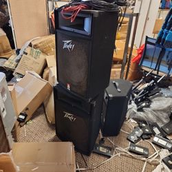 Pair Of PEAVEY TLS 5 SPEAKERS