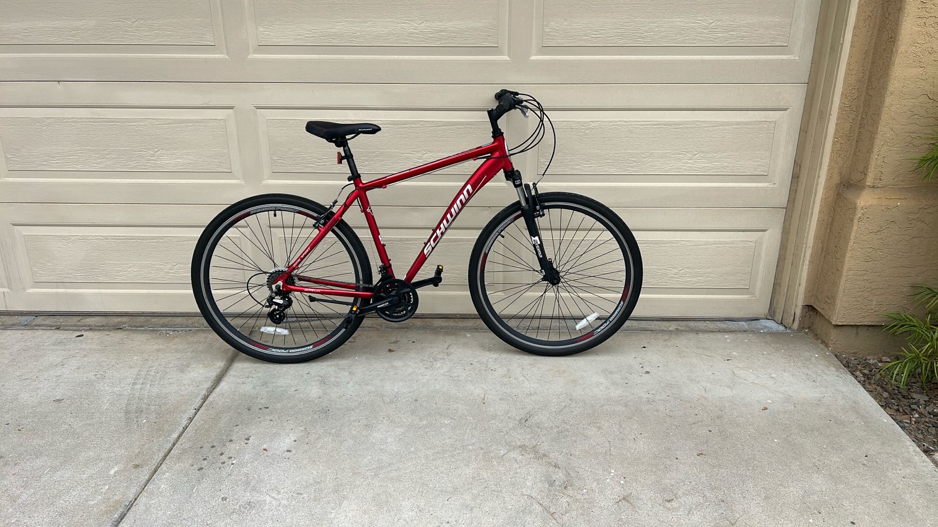 Schwinn GTX3 Dual Sport (Large)
