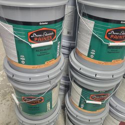 Paints Primer Pva Stain Blocking 