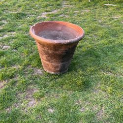 Plant Pot 