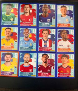 FIFA world cup panini stickers