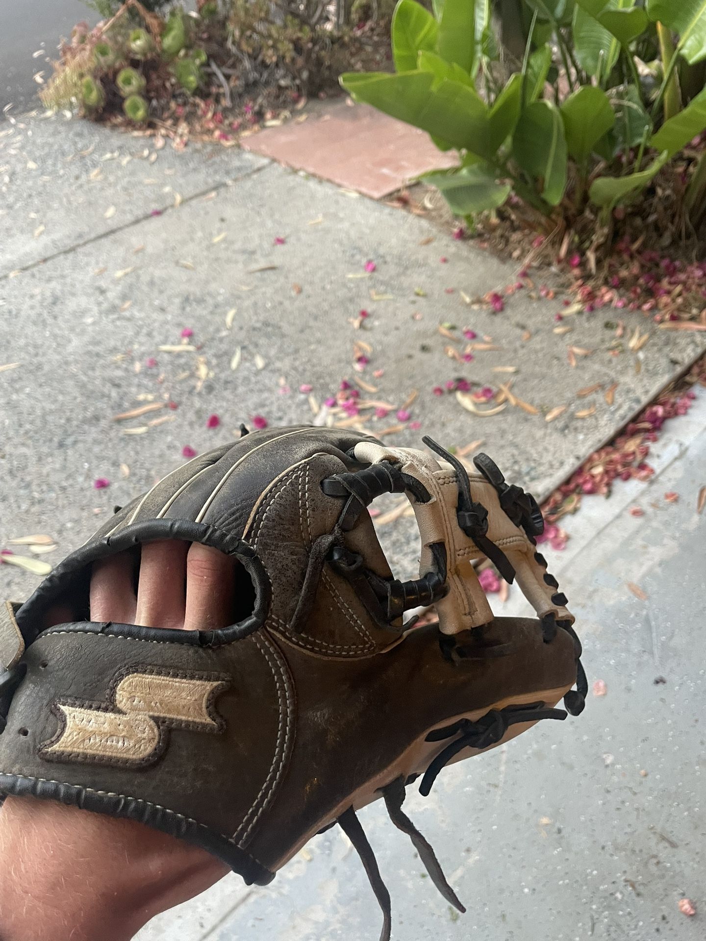Baseball Glove