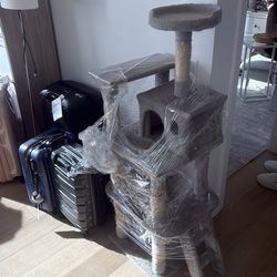 cat tree