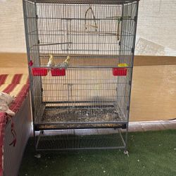 Large Bird Cage 