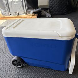 Igloo Cooler