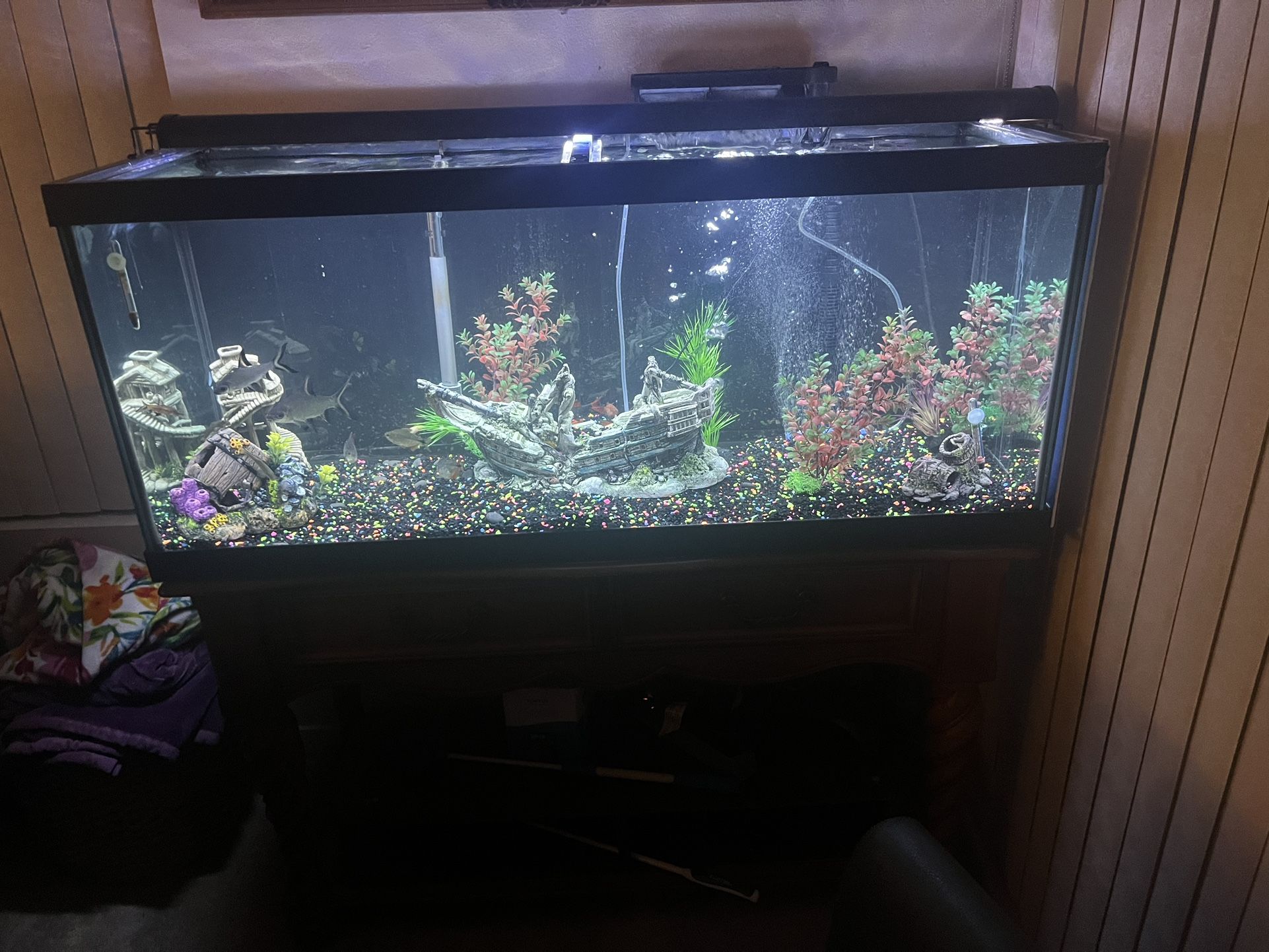 60 Gallon Fish Tank 