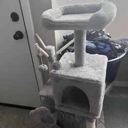 Brand new cat condo!!