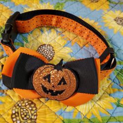 Halloween Dog Collar🎃