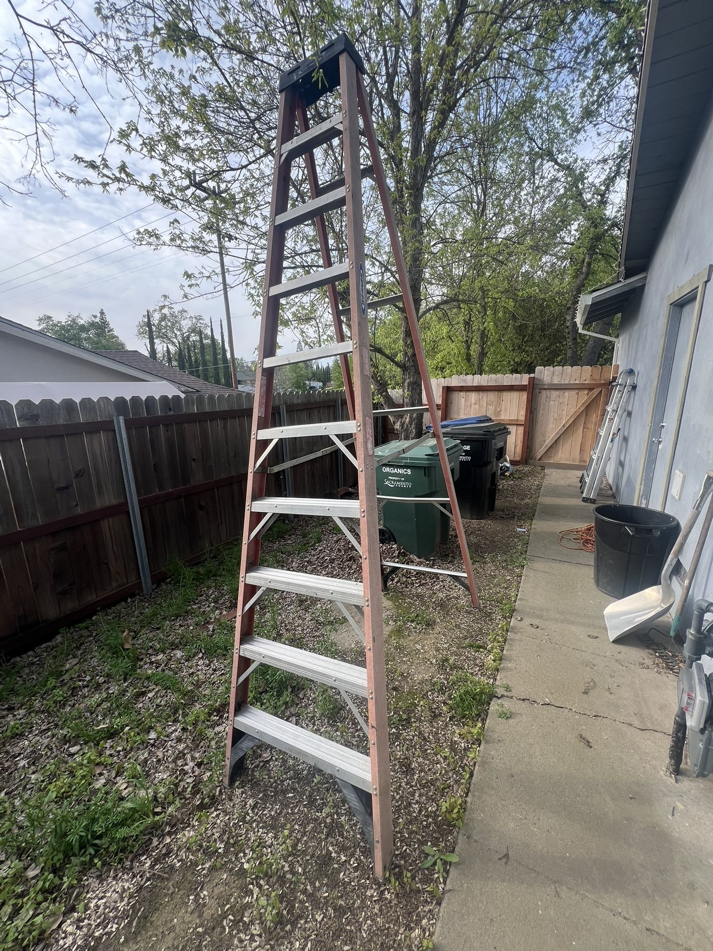 10 Foot Werner Ladder
