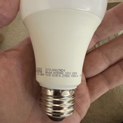 Light Bulb A191002 120v 14w 1500 Lumens - 20 Count