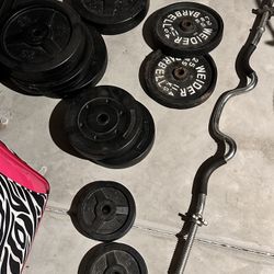 Weight Plates And Curl Bar