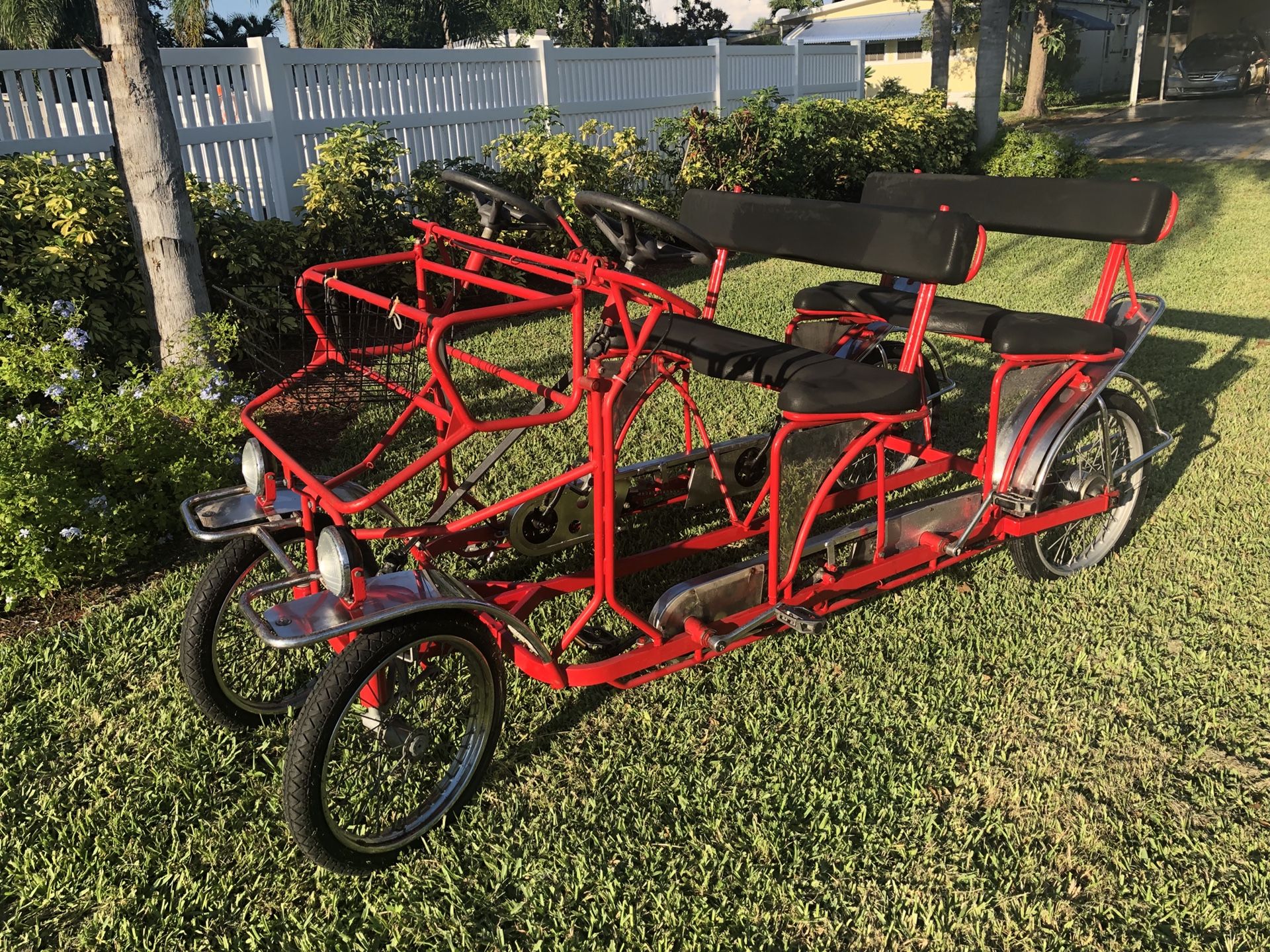 Surry bike for 8 person