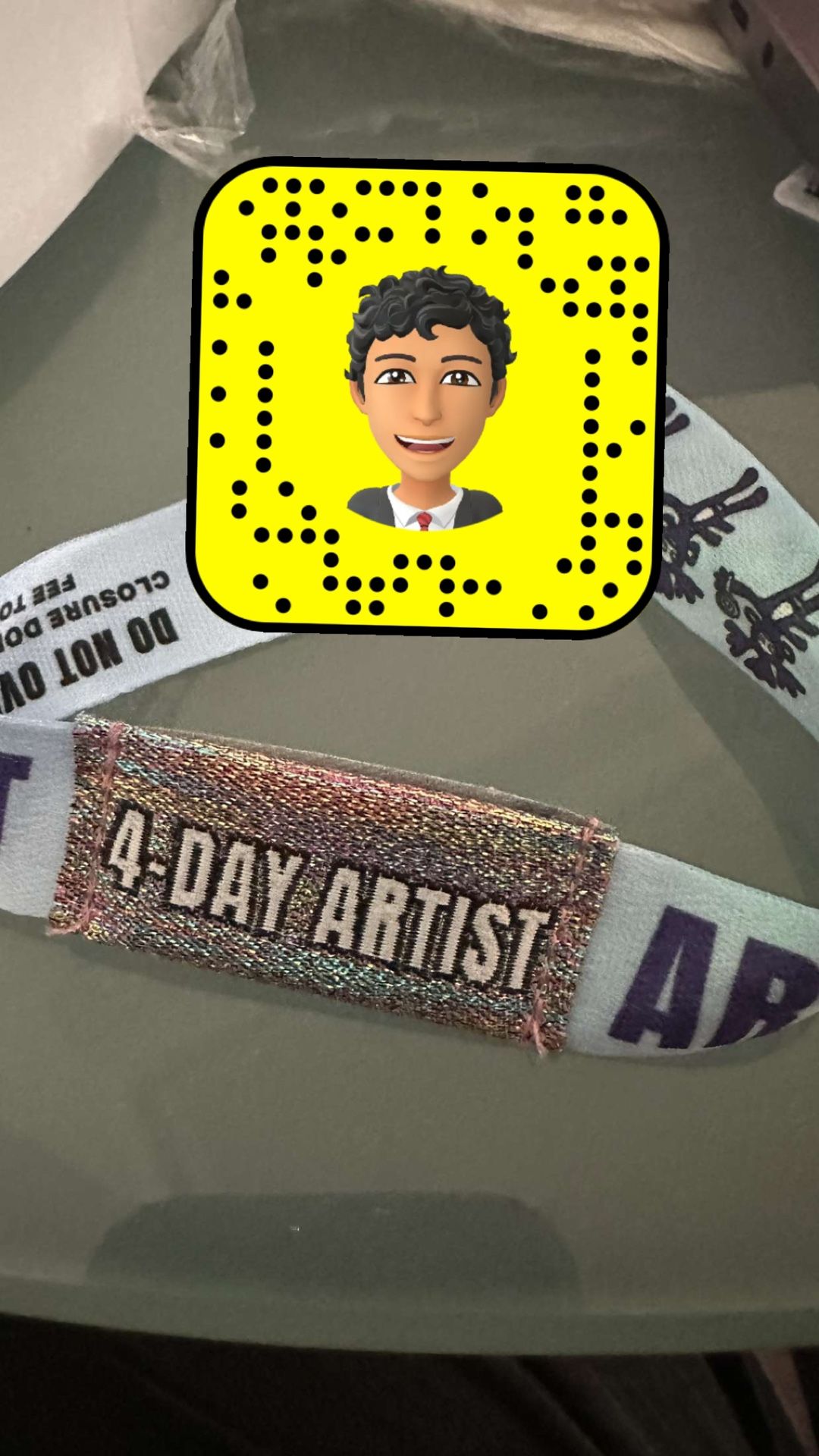 lollapalooza(ARTIST BANDS)