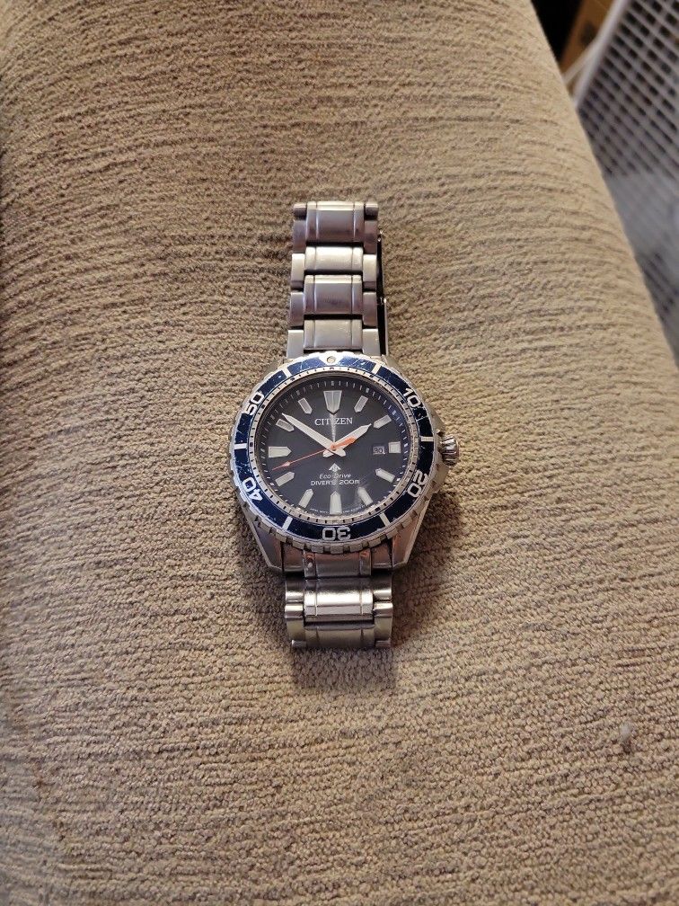 Citizen Pro Diver Watch