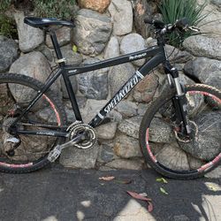 Specialized Rockhopper Mountain Bike