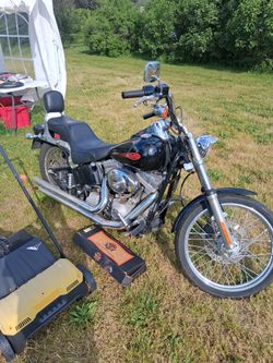 Harley soft tail