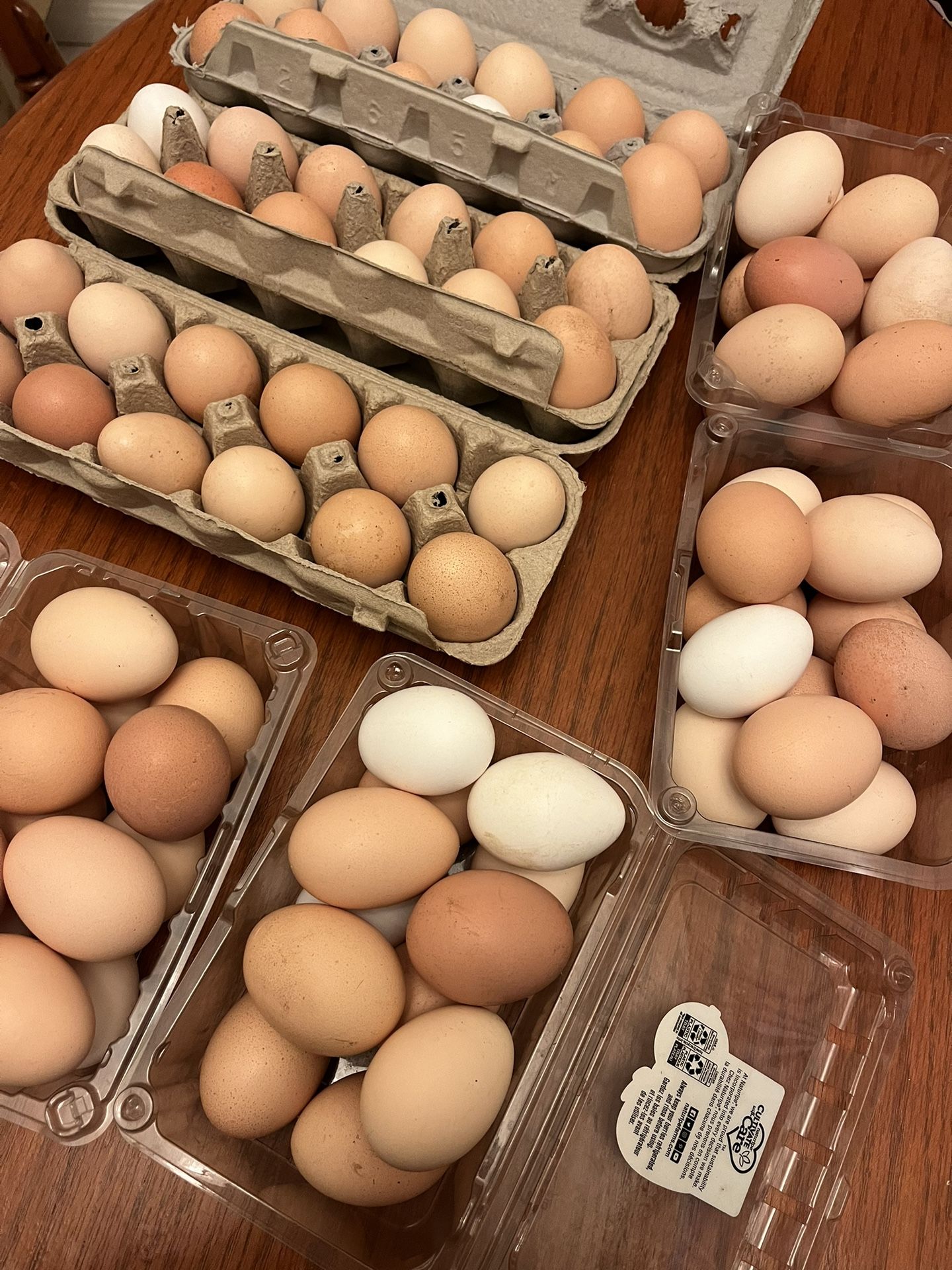 Fresh Organic Eggs For Sale $6 Per Dozen