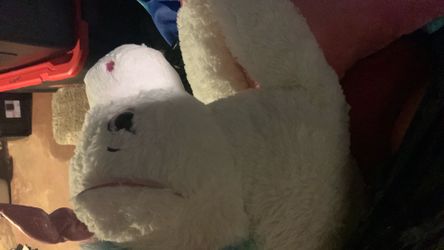 Stuffed teddy bears
