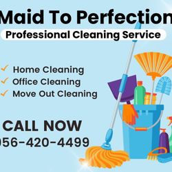 Profesional Cleaning Service 
