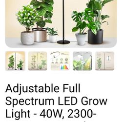 Adjustable Dimmmable Plant Lamp