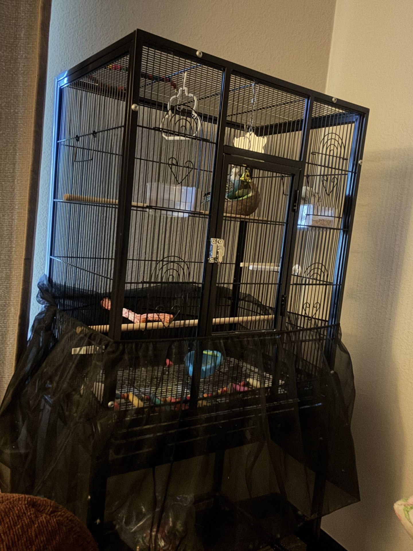 Large Bird Cage