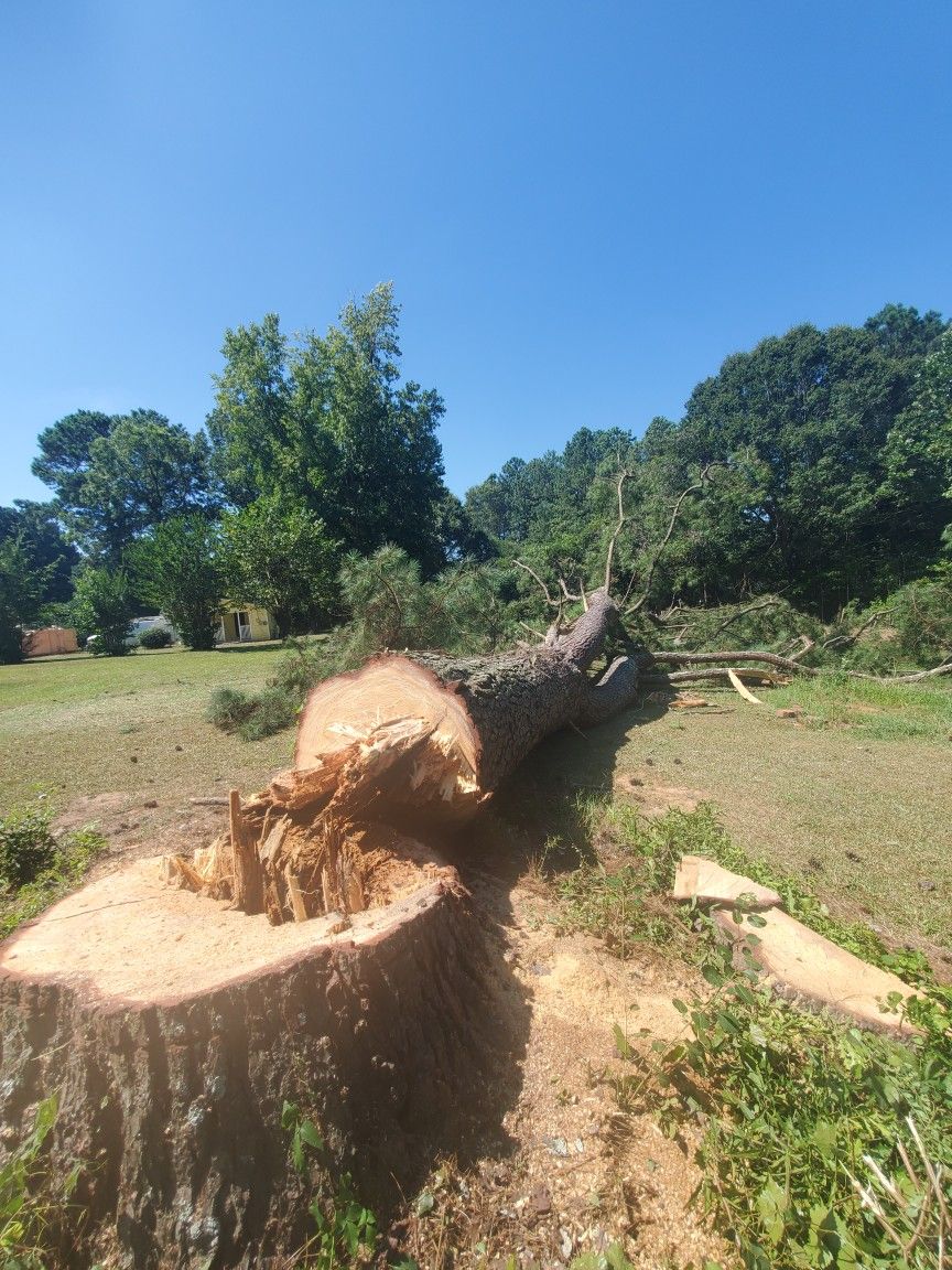 MONZON TREE REMOVER