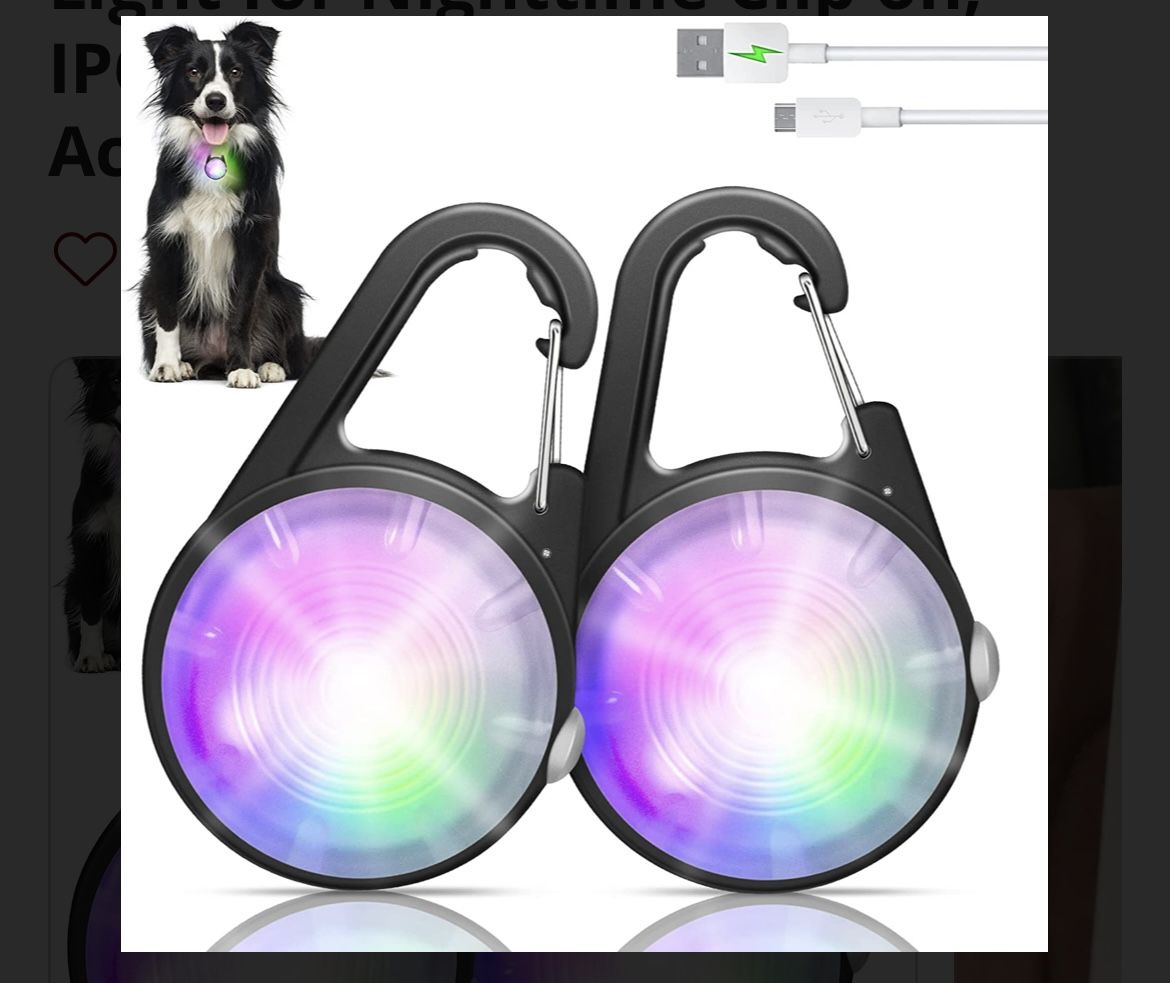 Illuminate Your Night Walks with the WONDog Collar Light!
