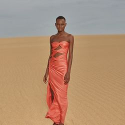 BAOBAB Vera Maxi Dress Coral