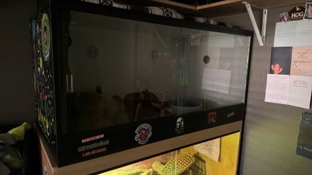 Red tail boa cage
