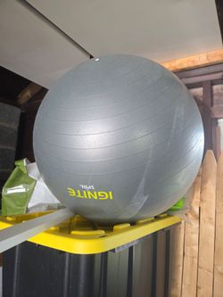 Exercise ball gray