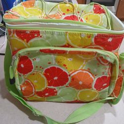 Insulated Cooler Bag Like New 