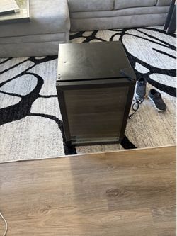 Mini Fridge