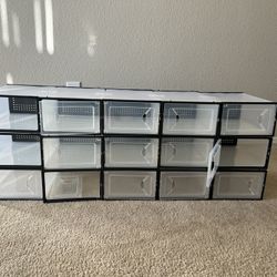Shoe Container 