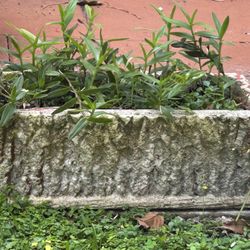 Set Of 6 Vintage Concrete Planters  Concrete Pots 24”L X 12” W No Plants