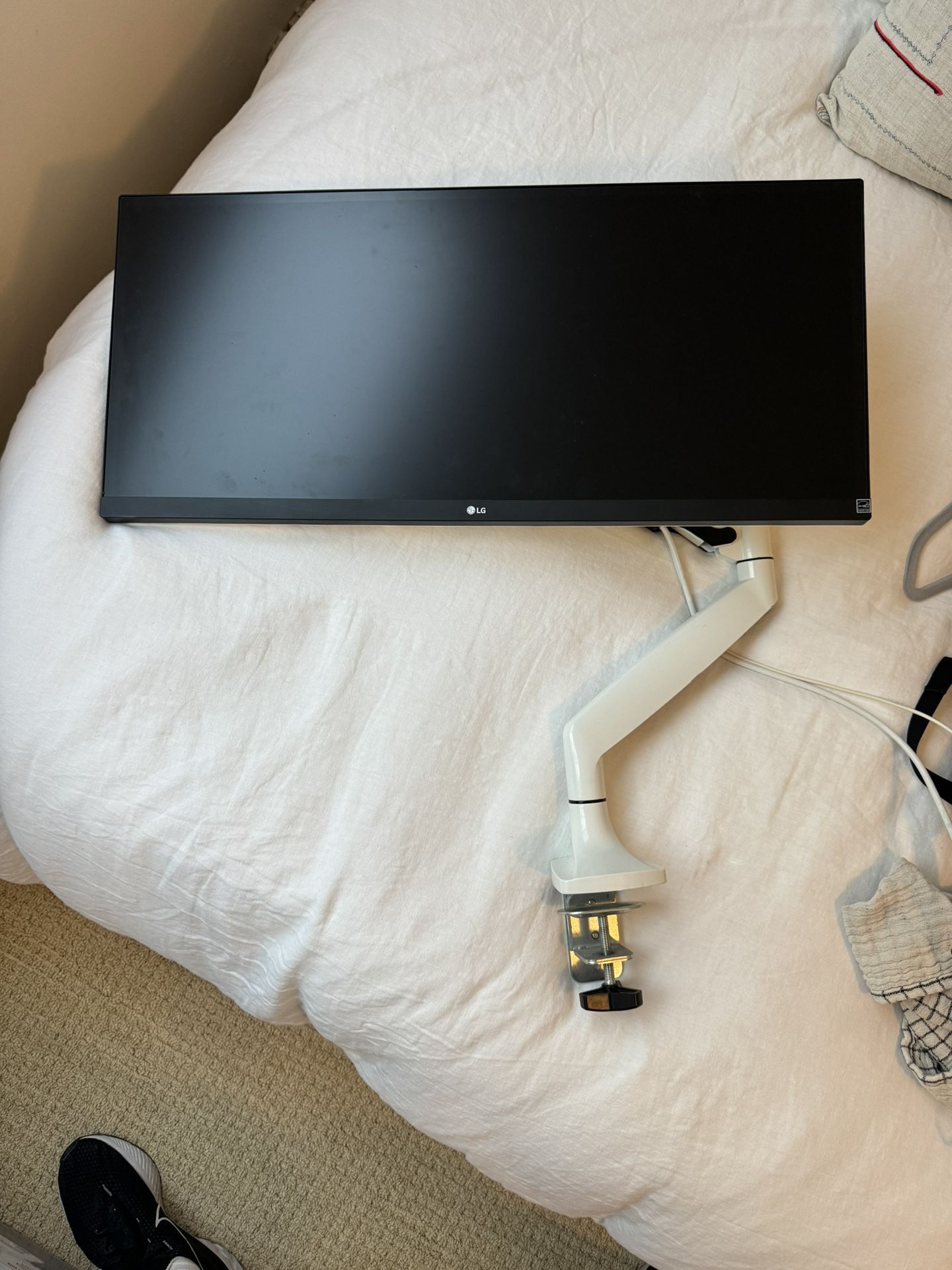 LG Monitor & Jarvis Monitor Arm (will sell separately) 