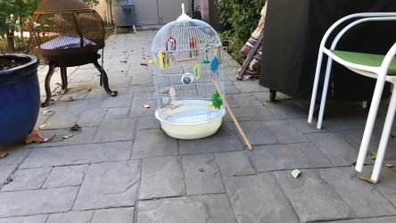 Bird Cage