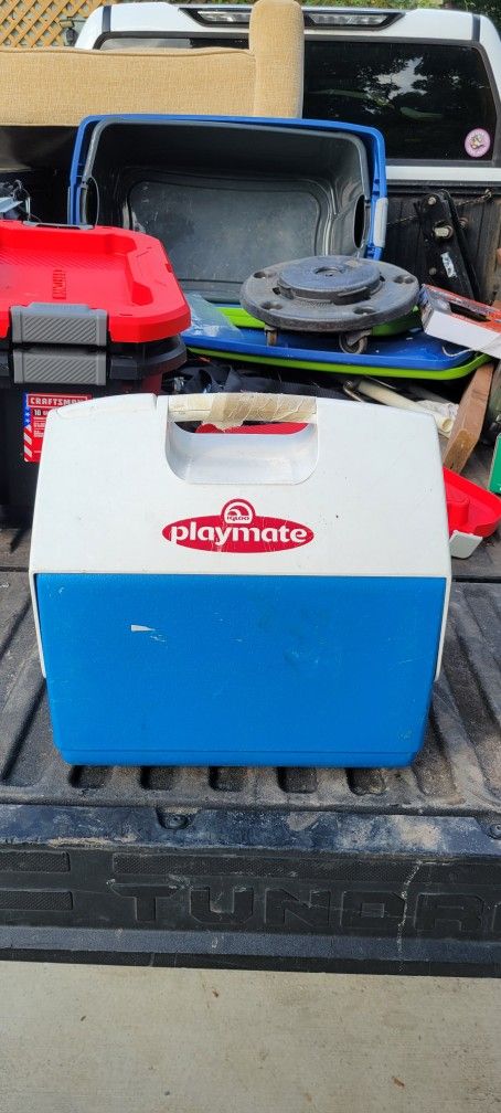 Igloo Playmate Cooler