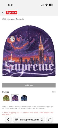 Supreme cityscape beanie